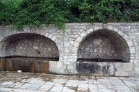 DSC01572 (1024x683).jpg